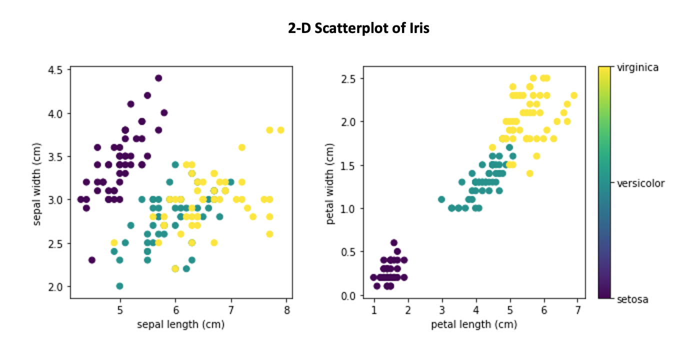 2D Scatterplot of Iris